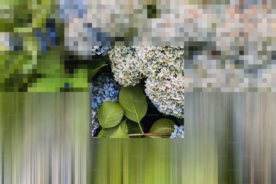 青平：涉军流言“猛于虎”依法亮剑护荣光